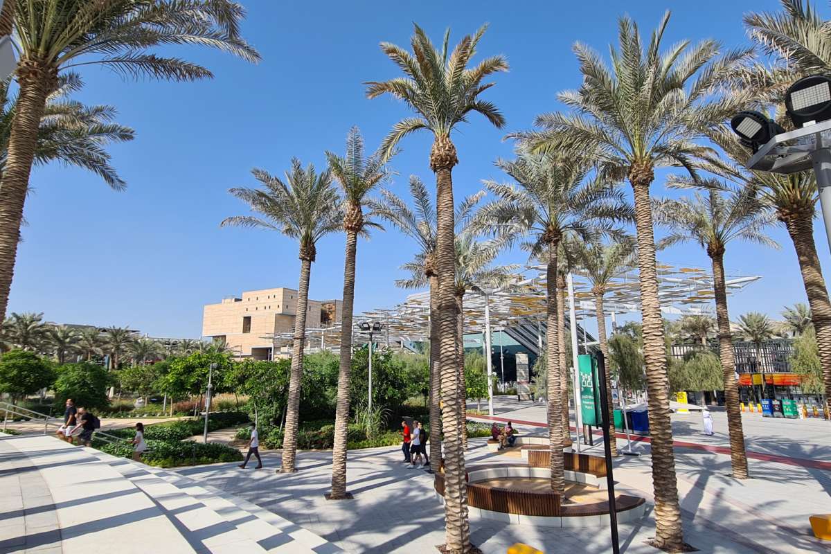 Al Forsan District
