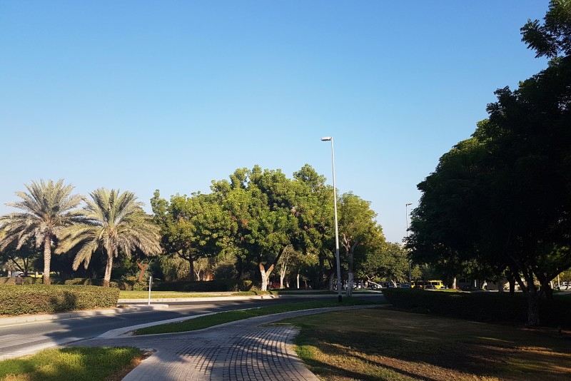 Carpeted Road at The Gardens Dubai