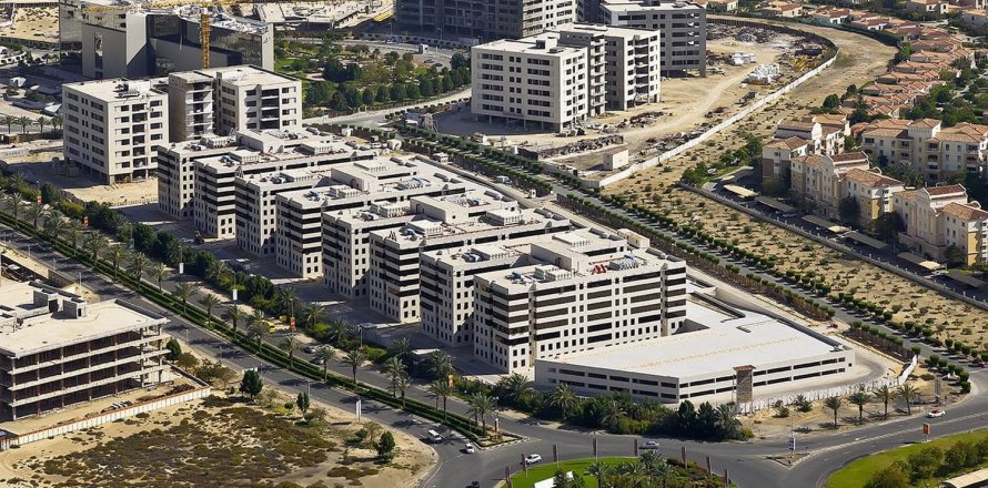 Dubai Industrial park