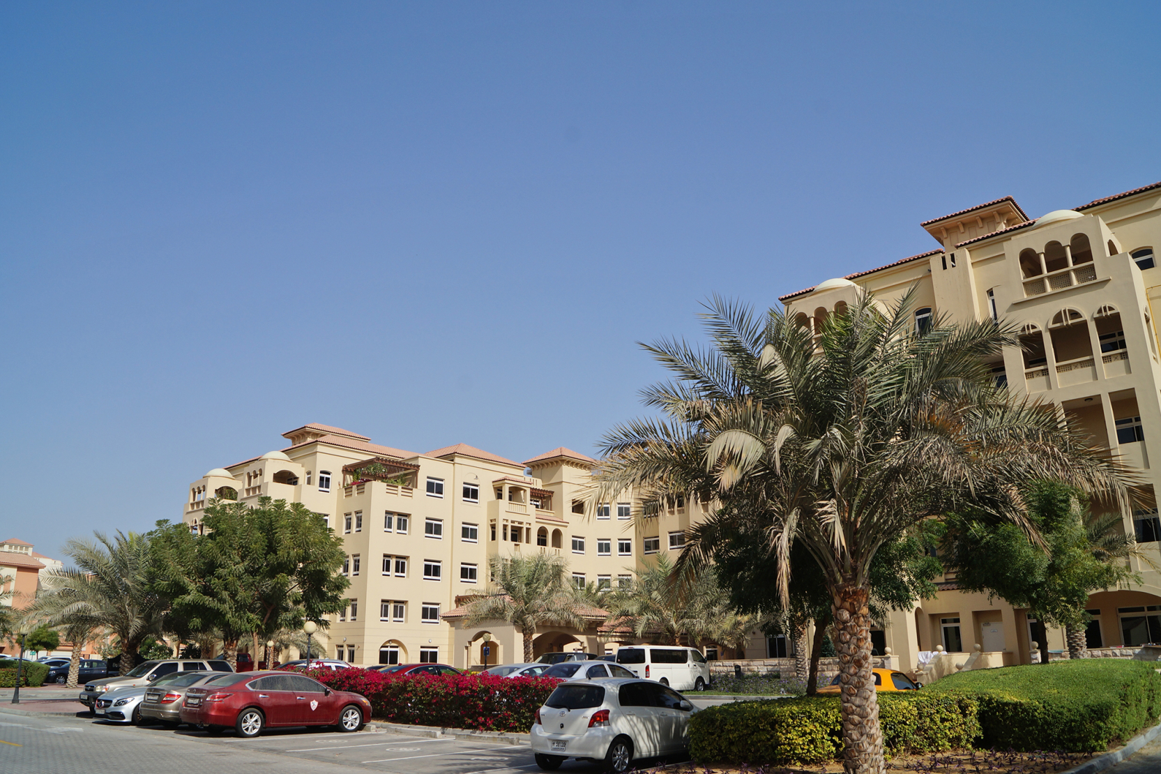 Al Badia