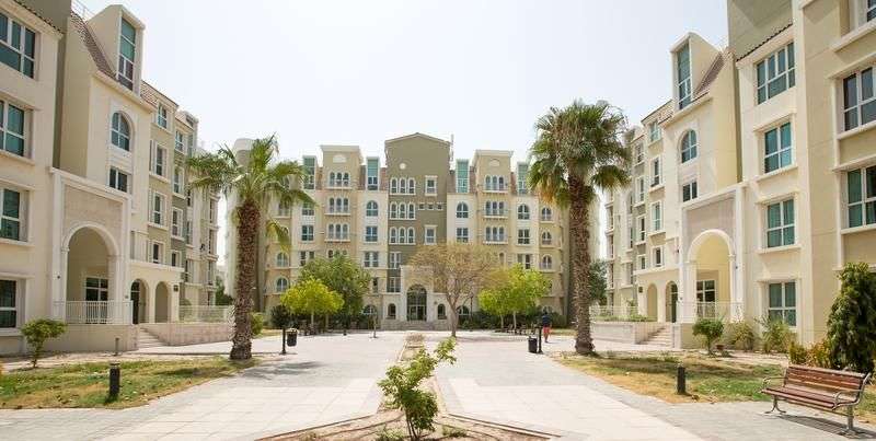 Building 163 in Mogul Cluster, Discovery Gardens, Dubai - Dubricks.