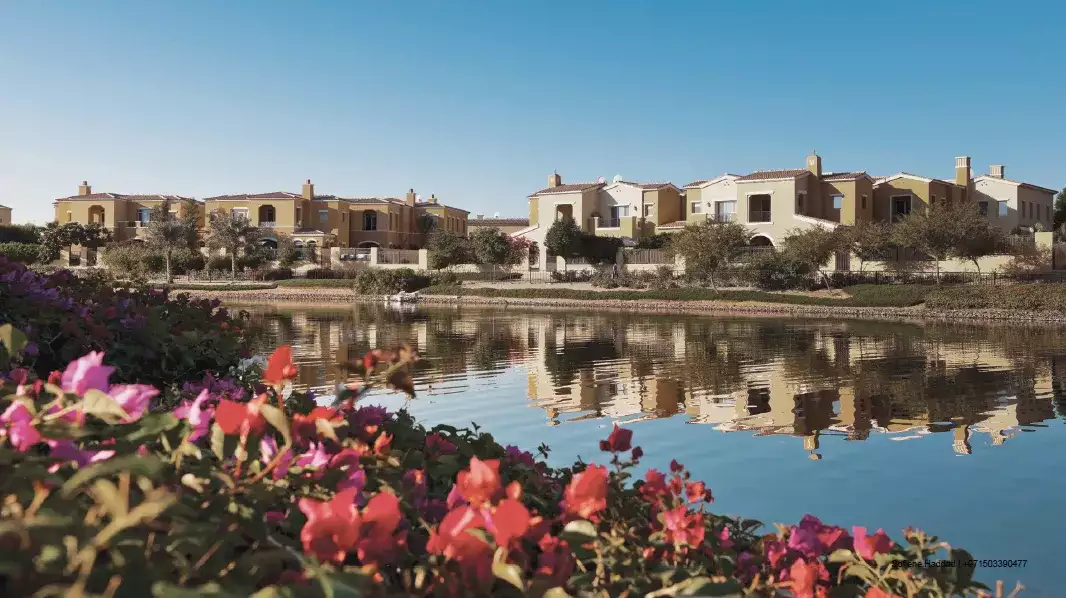 Camelia-Arabian-Ranches-2 | 1