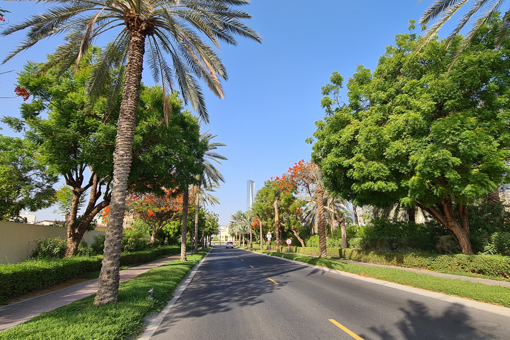 Gorgeous Meadows 1 Community