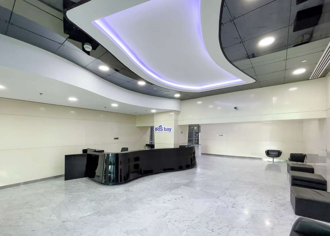 Iris Bay - Office Building - Business Bay - Dubai - 10