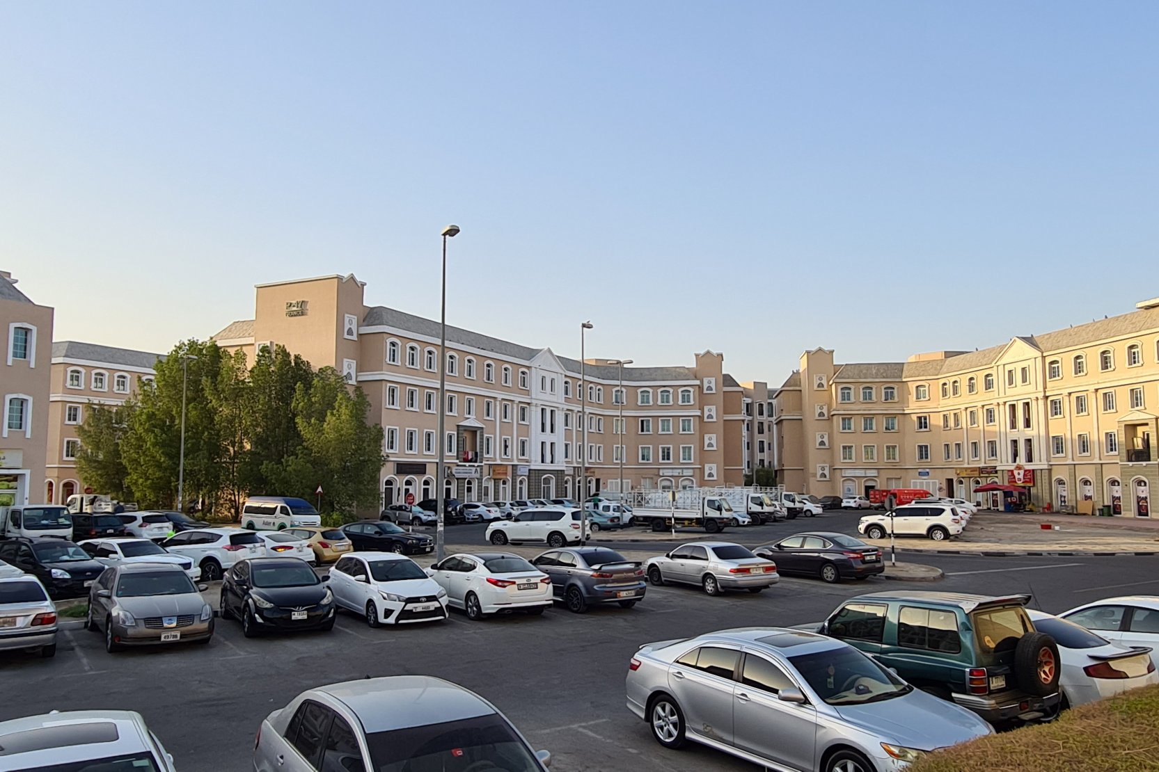 P01 (7)