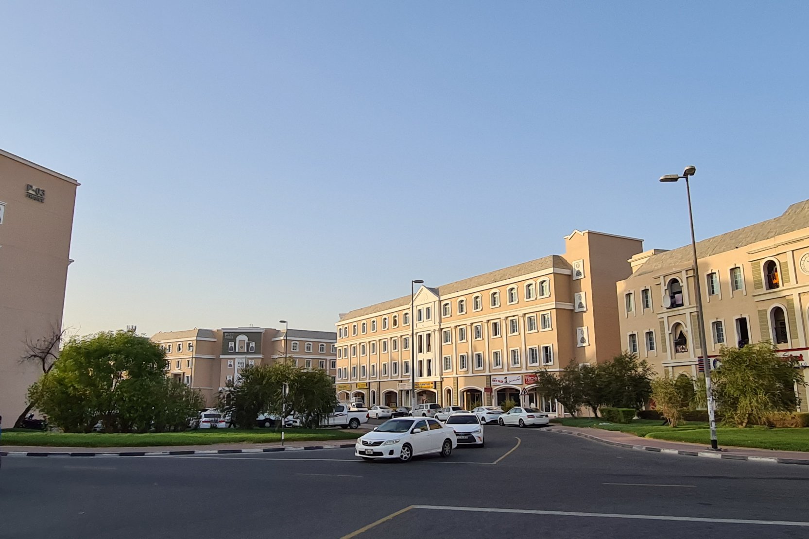 P13 (7)
