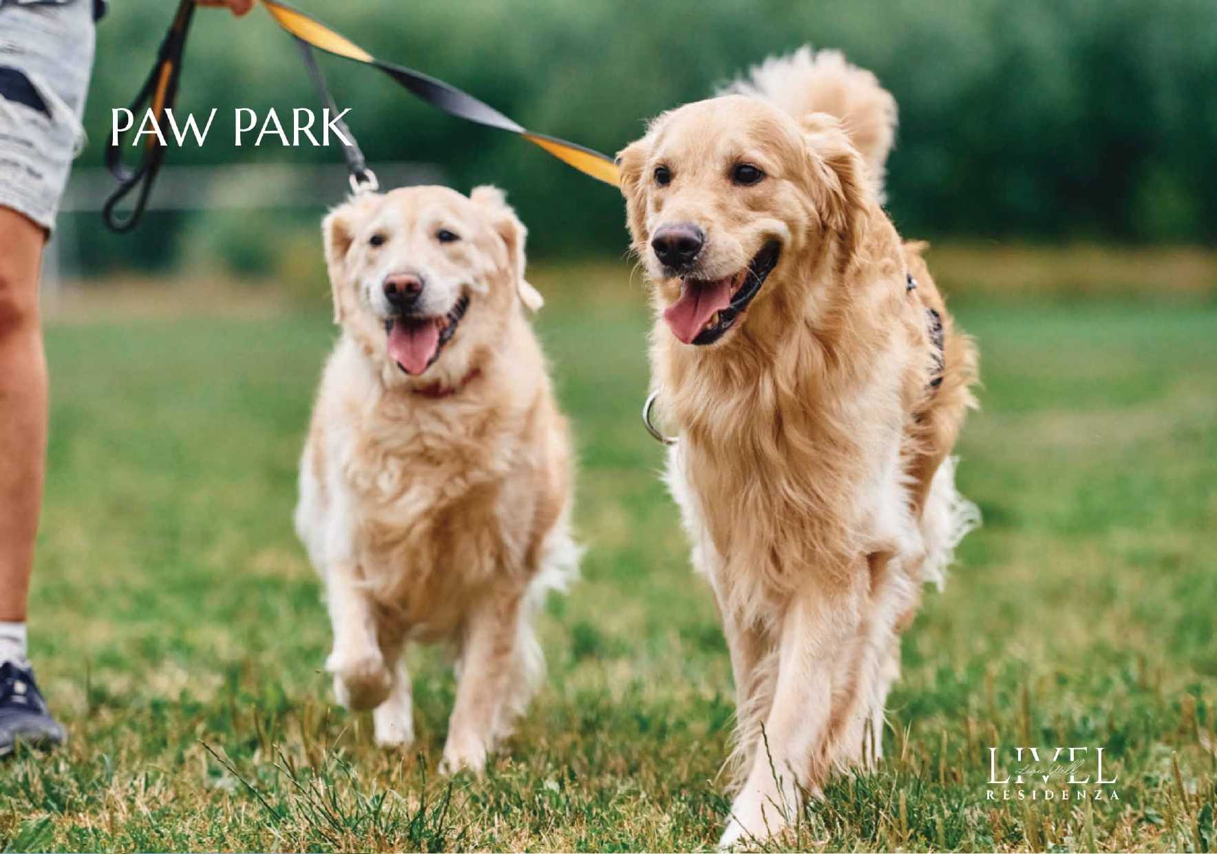 Paw Park