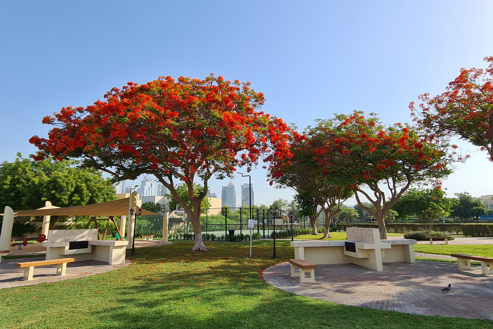 The Meadows 1 Facilities