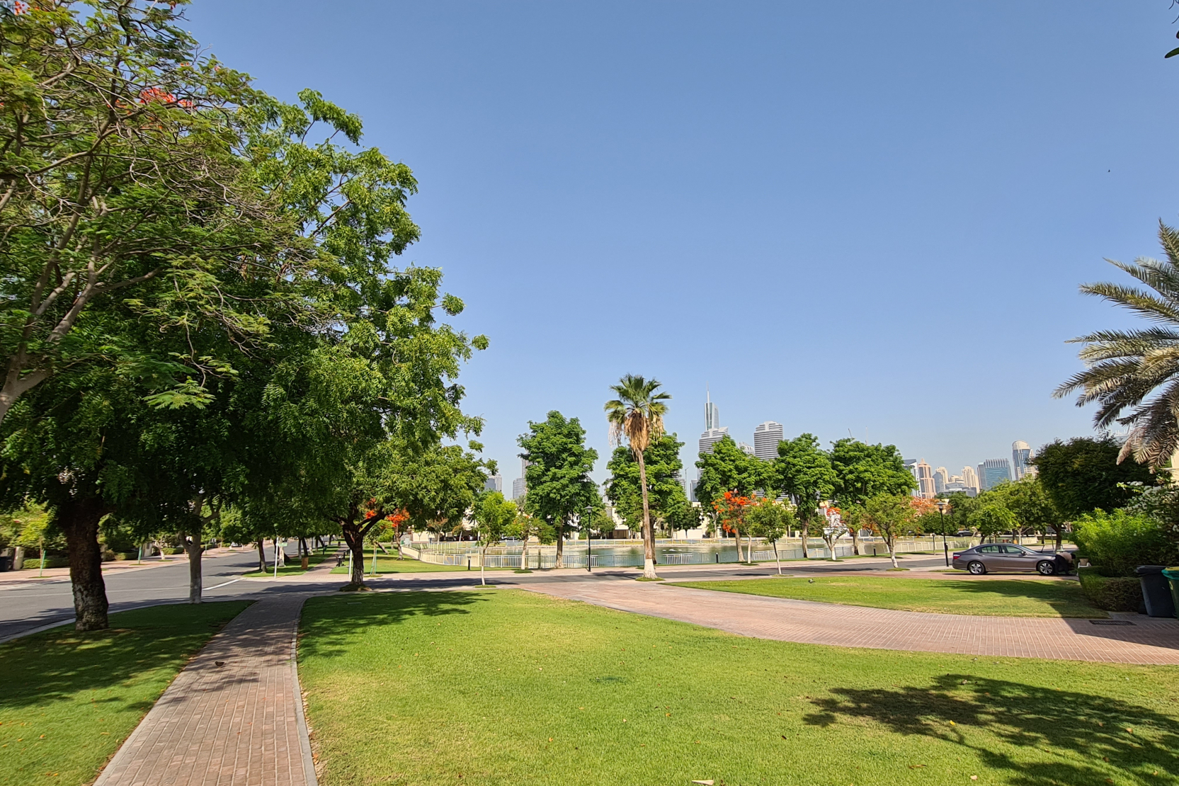 The Meadows 4 Community