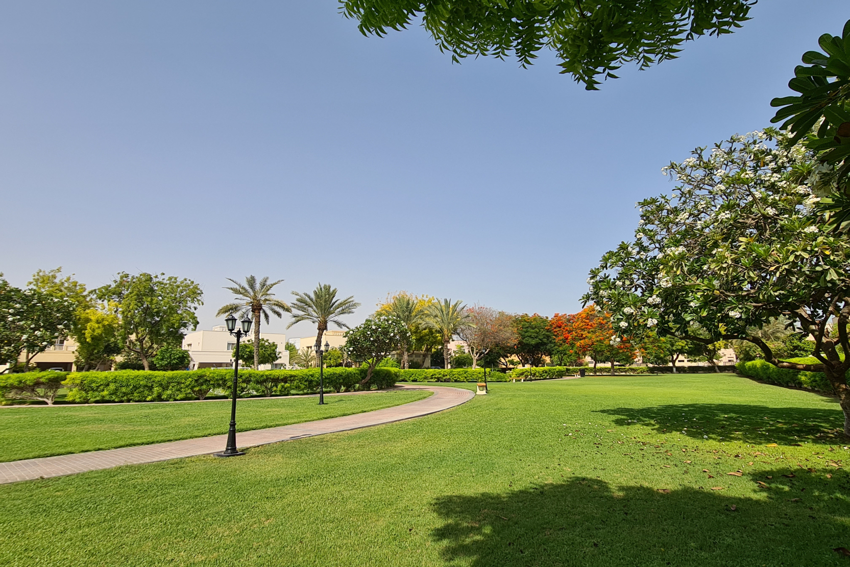 The Meadows 6 Park