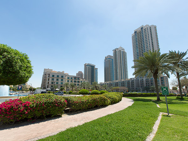 The Views Area
