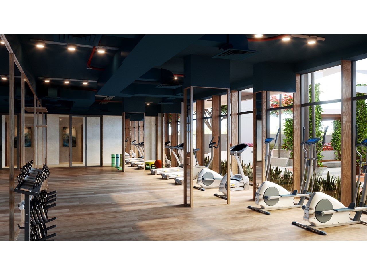 gym view 2