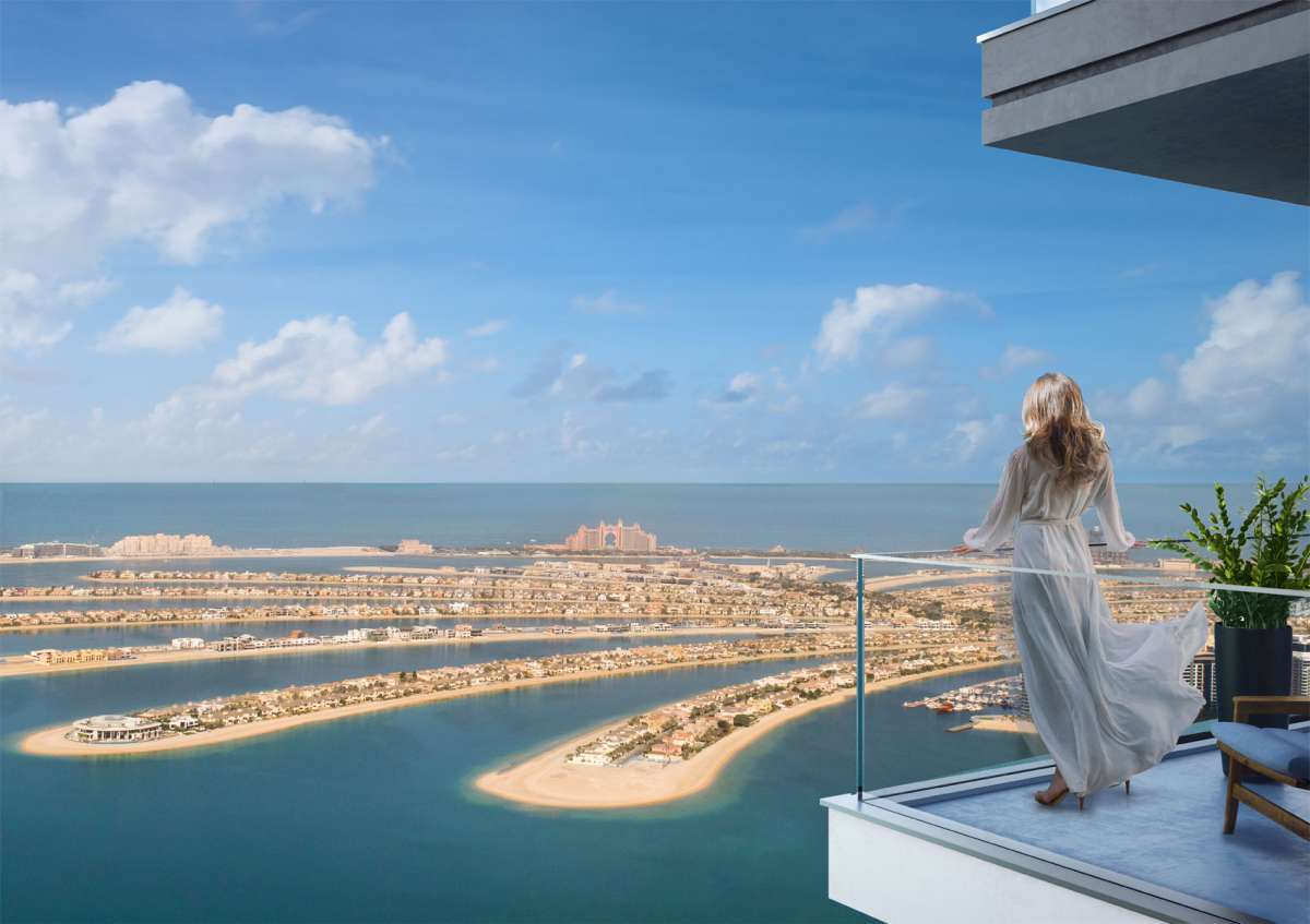 palm view