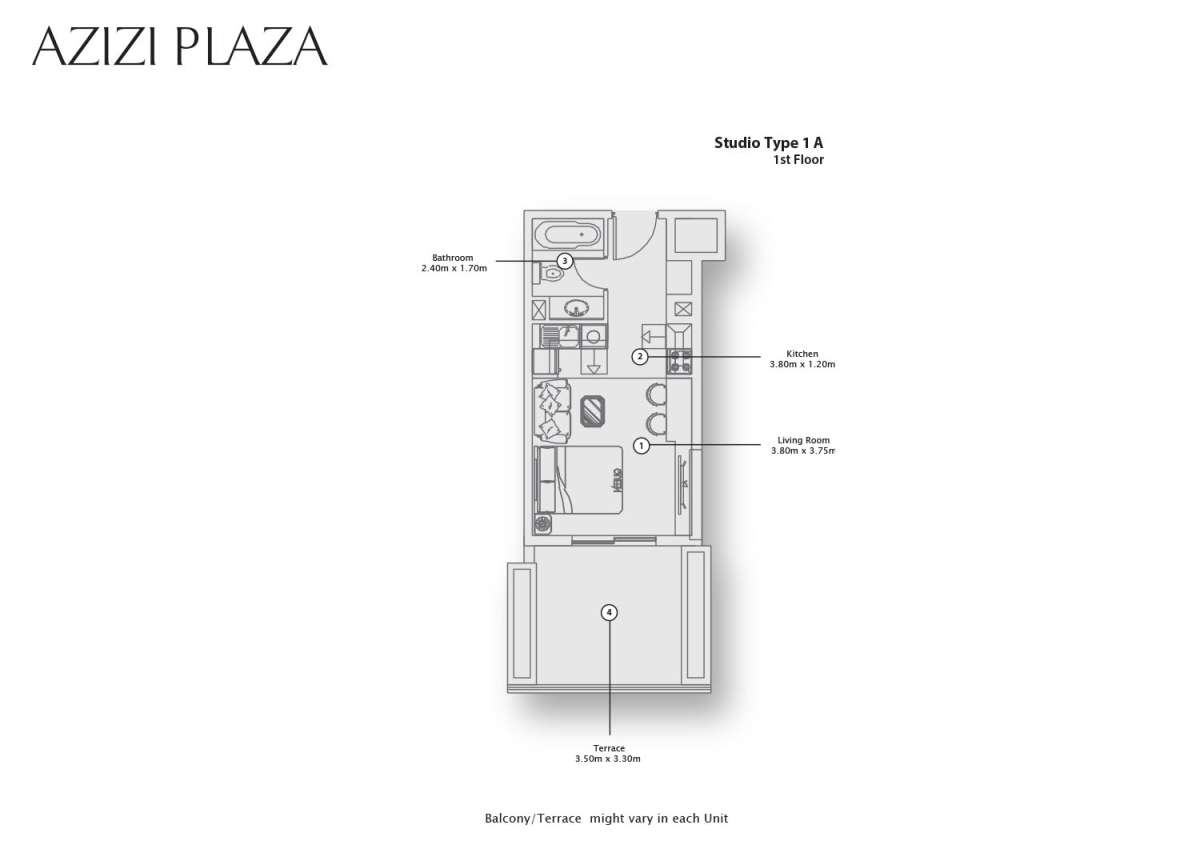 Type 1A_copy_78