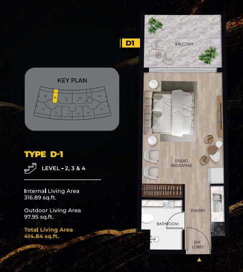 Type D1_copy_99